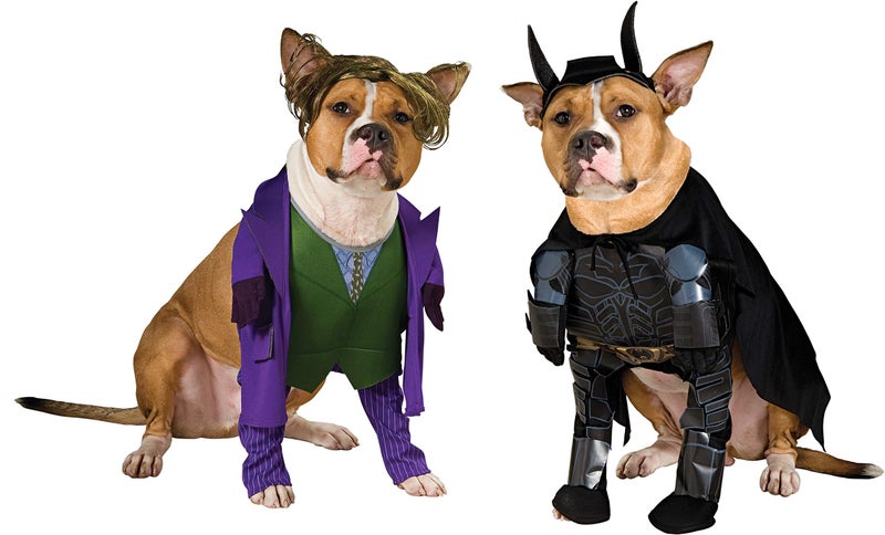 Rubies DC Batman The Dark Knight: The Joker Pet Costume for Dogs or Cats by Rubies, XL - Image 5